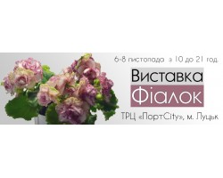 Выставка фиалок в Луцке 6-8 ноября